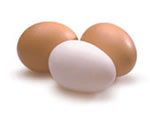 Eggs can be eaten when on phase one of the dukan diet