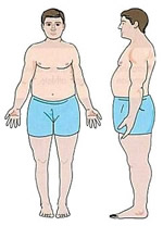 The Endomorph Body Type