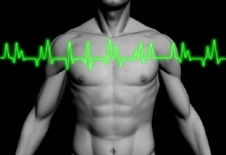 Heart rate monitoring is needed for maximum fat burning