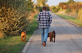 Go for a walk in the park to help reduce stress levels