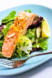 Salmon contains high levels of muscle building protein