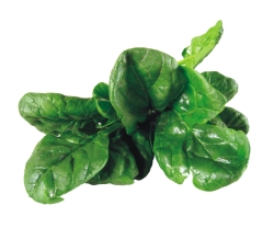 Spinach leaves