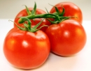 Some healthy tomatoes