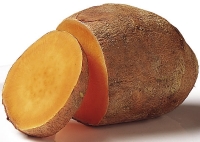 Sweet potatoes are a great source of carbohydrates